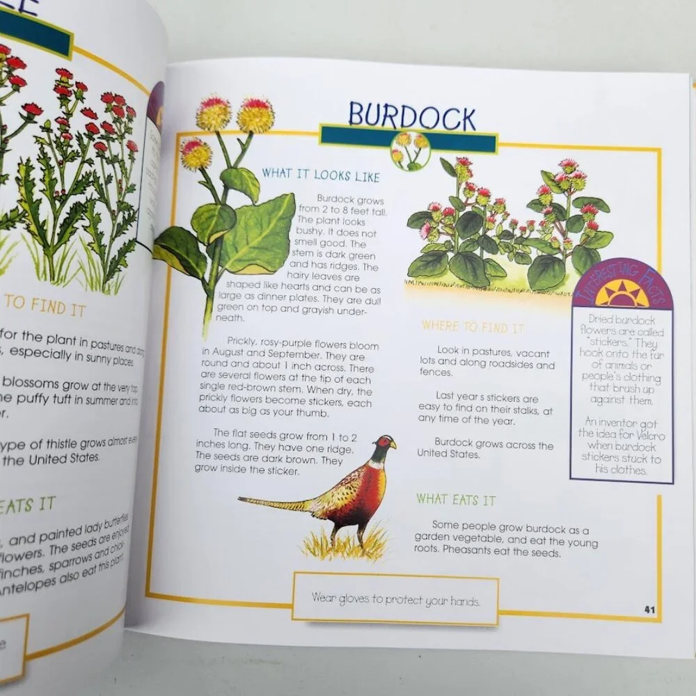 More Fun With Nature Take Along Guides Hardcover Book Activity Journal Craft